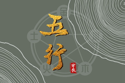 流年命盘排盘 命盘 专业细盘命盘 紫微星黄历